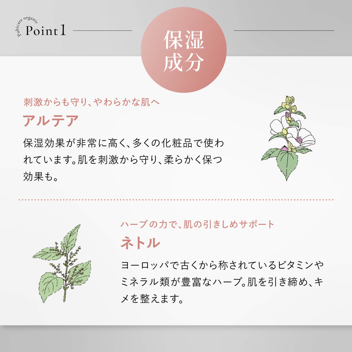 https://store.head-spring.co.jp/upload/save_image/top/pubicare-organic/item_pubicare_medisoap_07.jpg