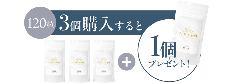 Nutro Veil（ニュートロヴェール）120粒【3本+1本】