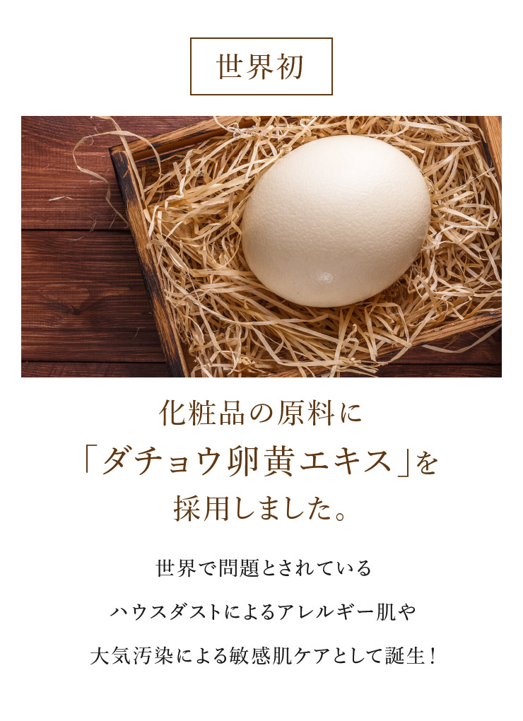 sorb's ソーブズ