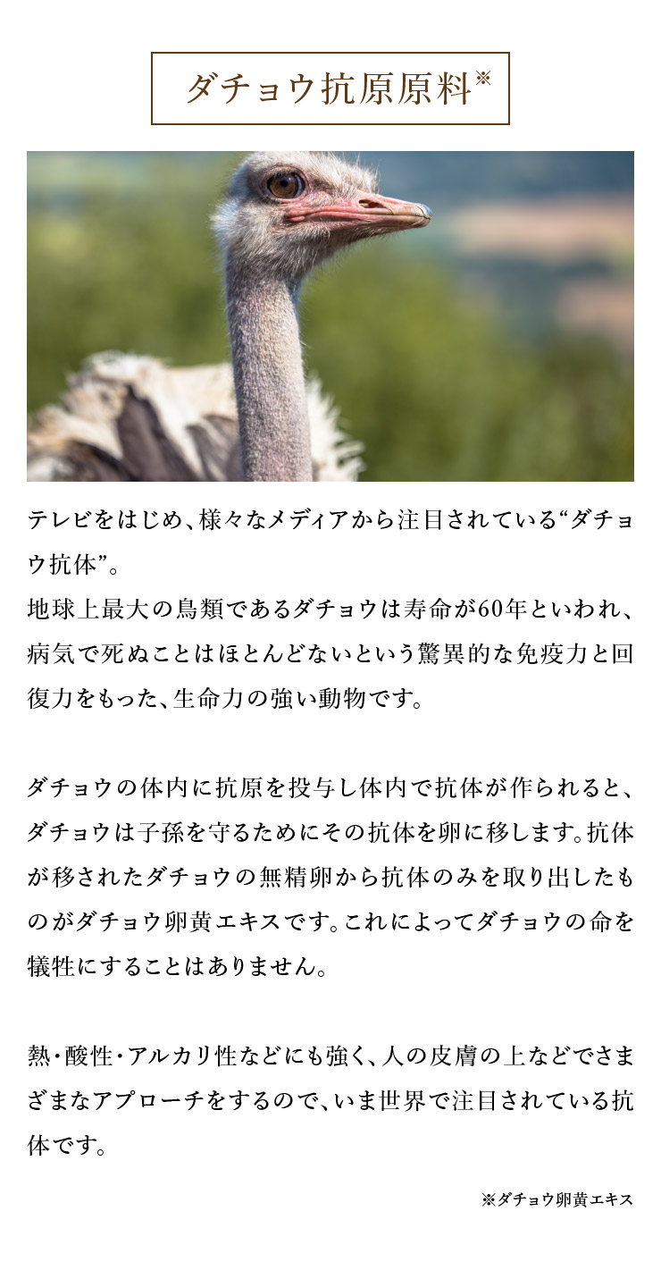 sorb's ソーブズ